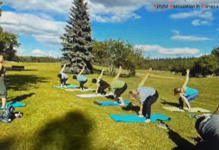 Group of women in a grassy park doing yoga on yoga mats